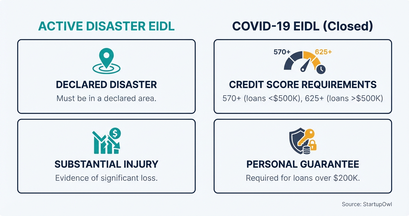 Icon grid showing EIDL eligibility requirements for disaster and COVID programs